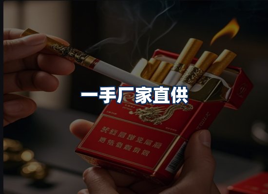 专业团队办公环境
